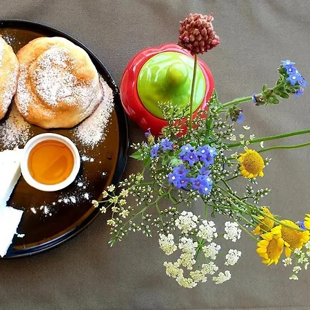 호텔 Feniks 로제넷츠