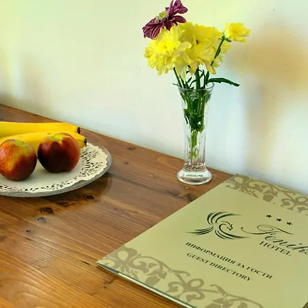 Ξενοδοχείο Feniks