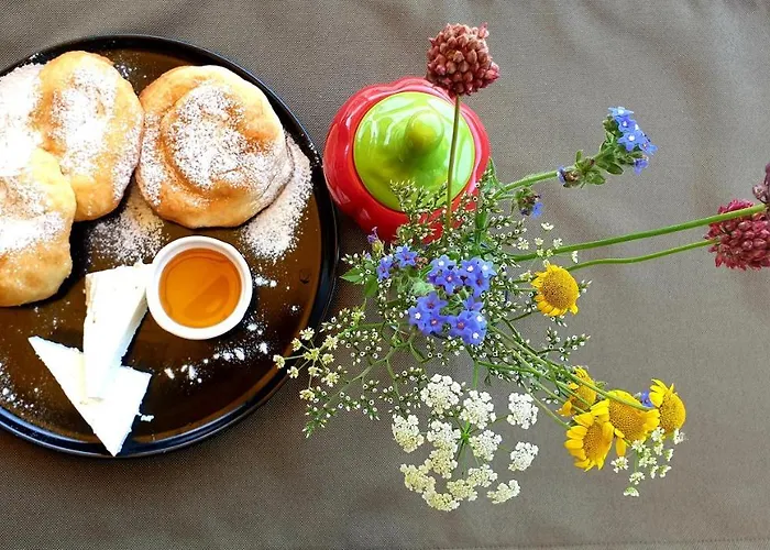 酒店 Feniks 洛泽内茨